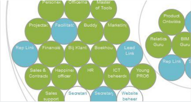 Holacracy